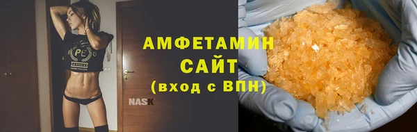 стаф Богданович